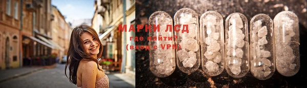 крисы Заводоуковск