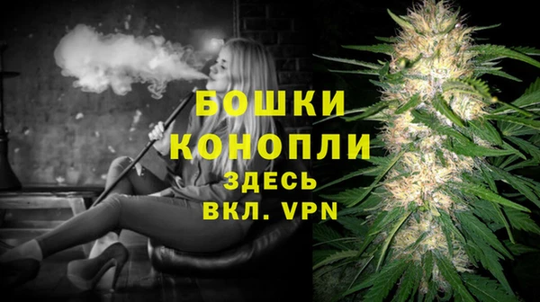 крисы Заводоуковск