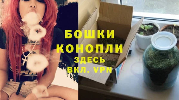 крисы Заводоуковск