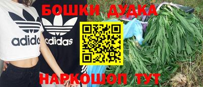 ГАЛЛЮЦИНОГЕННЫЕ ГРИБЫ Новокубанск