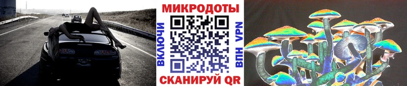 наркота  Чебаркуль  Псилоцибиновые грибы Cubensis 