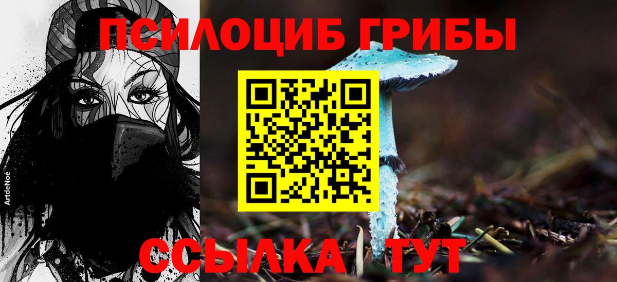  Cocaine Чебаркуль