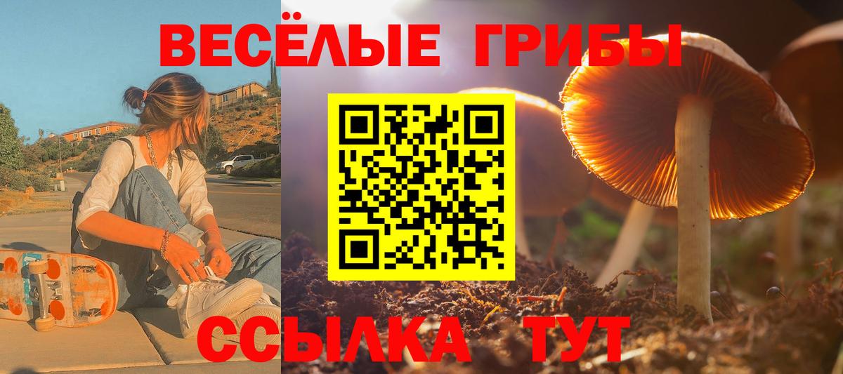 Галлюциногенные грибы прущие грибы Чебаркуль